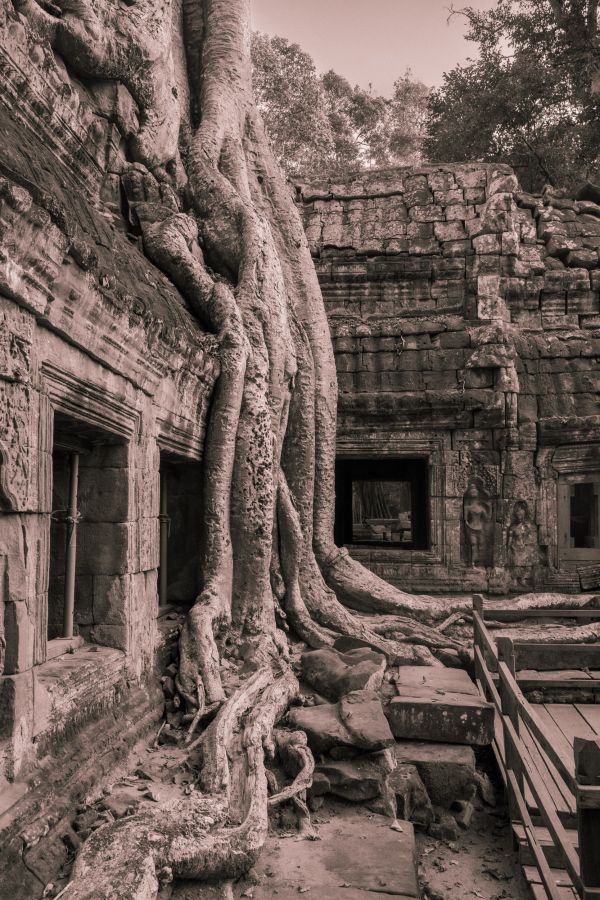 angkor wat-50-2.jpg